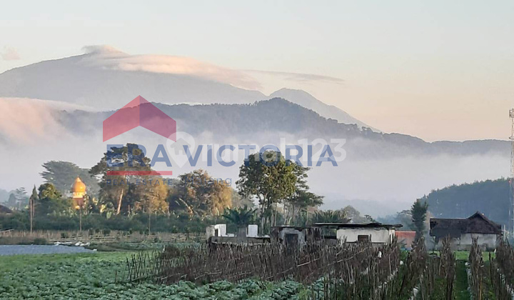 Lahan Luas Sejuk di Ketinggian 1.058 mdpl  Pas untuk Perkebunan & Peternakan