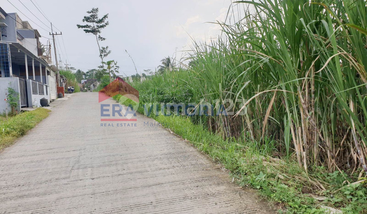 Tanah Kering Dekat Perumahan Lokasi Strategis & Siap Olah