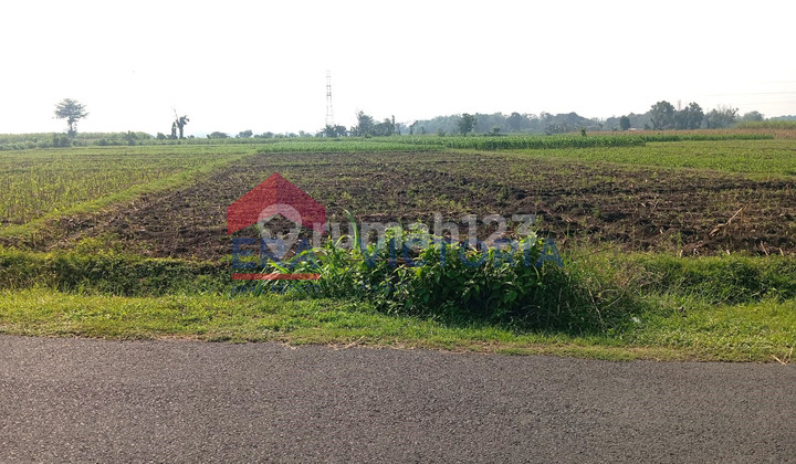 Land for Sale by the Roadside in Badas, Kediri Regency, Area 7978 m2