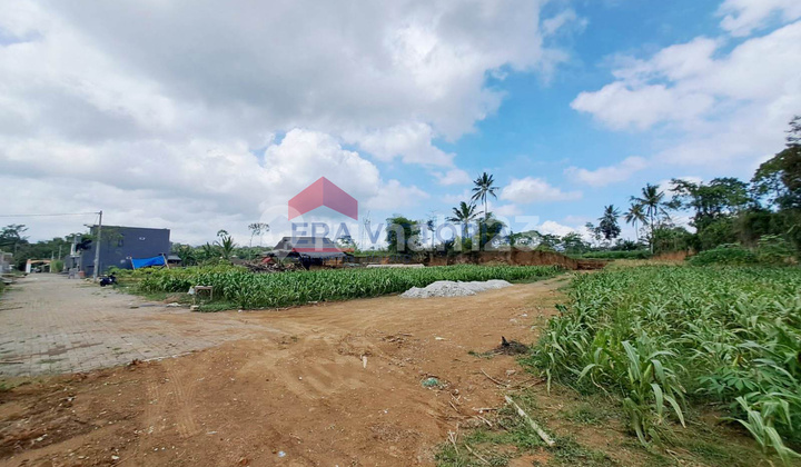 Tanah Murah di Tajinan Akses Mudah, Lokasi Dekat Fasilitas Umum Tanah Murah di Tajinan Akses Mudah, Lokasi Dekat Fasilitas Umum