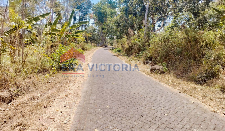 Investasi Tanah Strategis Purwosari, Dekat Chymori & Pabrik Pakan Samsung Investasi Tanah Strategis Purwosari, Dekat Chymori & Pabrik Pakan Samsung