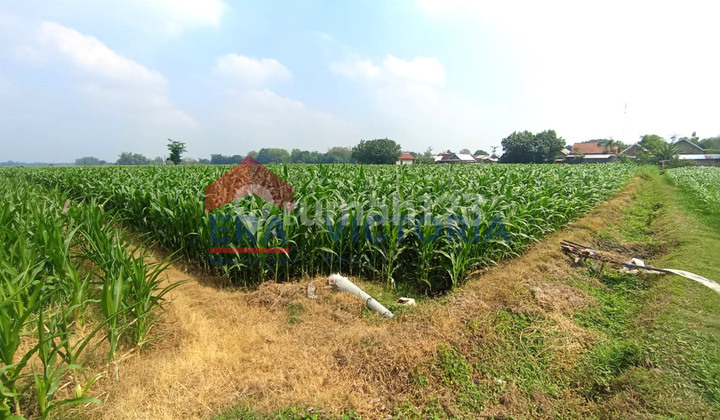 Tanah Jual 16057 m2 SHM Badas, Kediri Dekat Balai Desa Ringinpitu