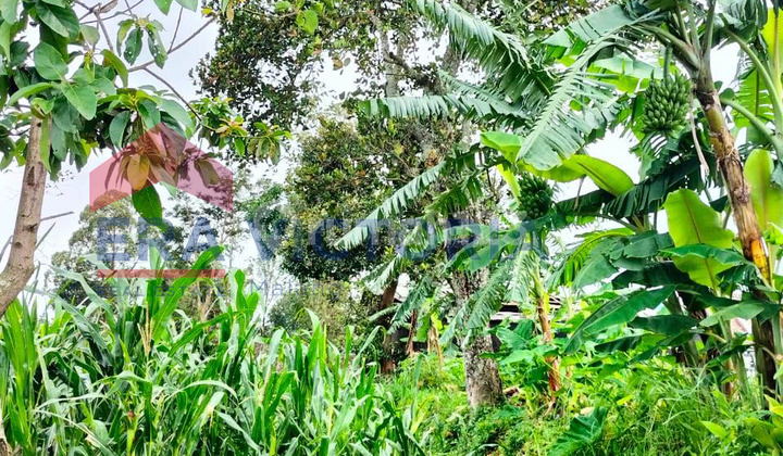 Tanah Junrejo Suasana Tenang dan Cocok untuk Segala Usaha Tanah Junrejo Suasana Tenang dan Cocok untuk Segala Usaha