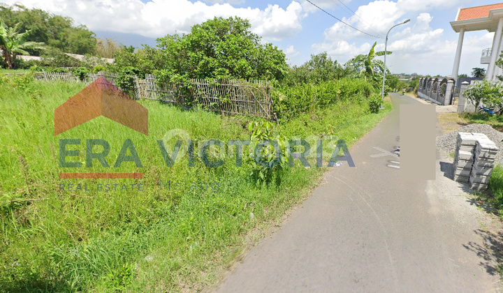 Tanah Impian Cocok untuk Villa Pribadi atau Bisnis Café Alam Tanah Impian Cocok untuk Villa Pribadi atau Bisnis Café Alam