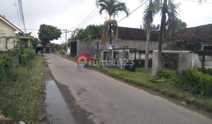 Dijual Lahan Perkebunan Jeruk & Alpukat – Ngronggot, Pagar Tembok Keliling 1
