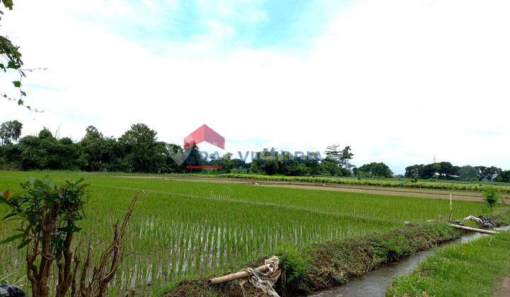 Land Lease 7696 m2 in Gurah, Kediri Regency, 20 Minutes to Kediri City. Land Lease 7696 m2 in Gurah, Kediri Regency, 20 Minutes to Kediri City.