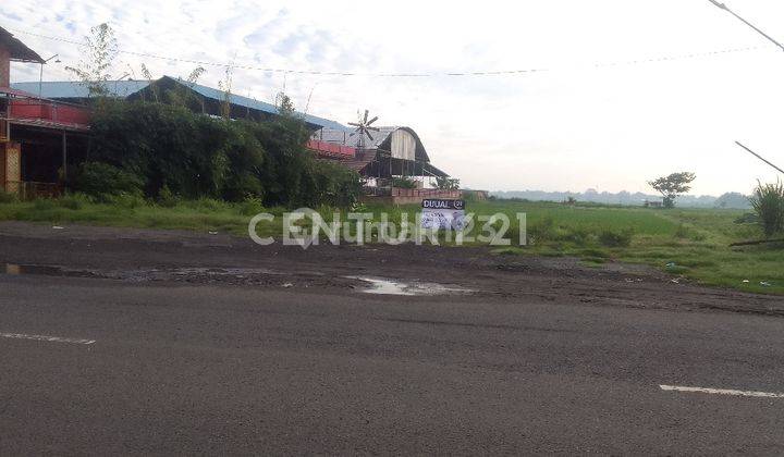 Tanah Strategis Dipinggir Jalan Raya Astanajapura Cirebon 2