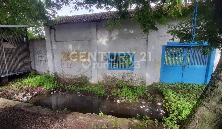 Pekarangan Dan Rumah Kuno Di Astanalanggar Jl. Losari-ciledug 2