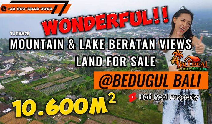 Under Market Price 10,600 Sqm In Baturiti Tabanan 1