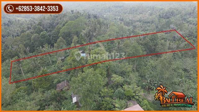 6,900 M2 With Mountain And Jungle View In Penebel Tabanan 2