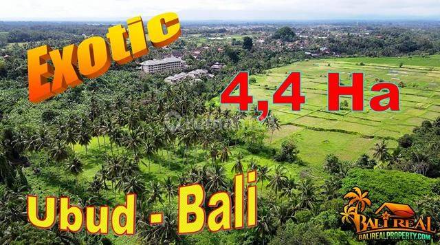 Exotic Yet Affordable 440.0 Are Land Sale In Ubud Bali 1