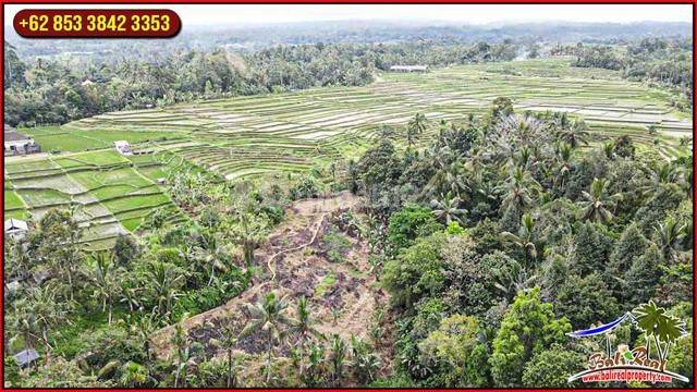 3,200 M2 With Rice Field And Mountain View In Penebel 2