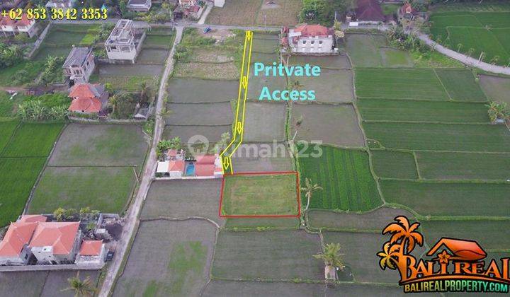 Under Market Price, Land Sale 400 Sqm In Sukawati Ubud 2