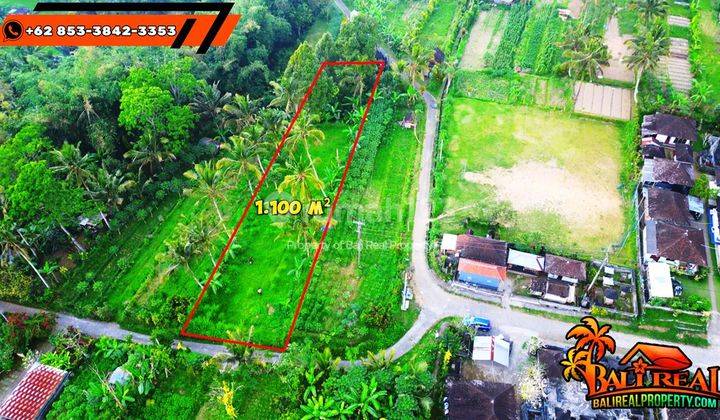 1,100 M2 With Mountain And Jungle View In Baturiti Tabanan 2