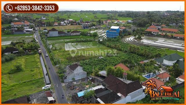 Exotic Yet Affordable 50 Are Land Sale In Kediri Tabanan 2