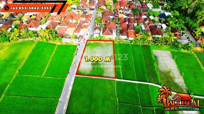 View Sawah Lahan Dijual 1,000 M2 di Kerambitan, Tabanan 2