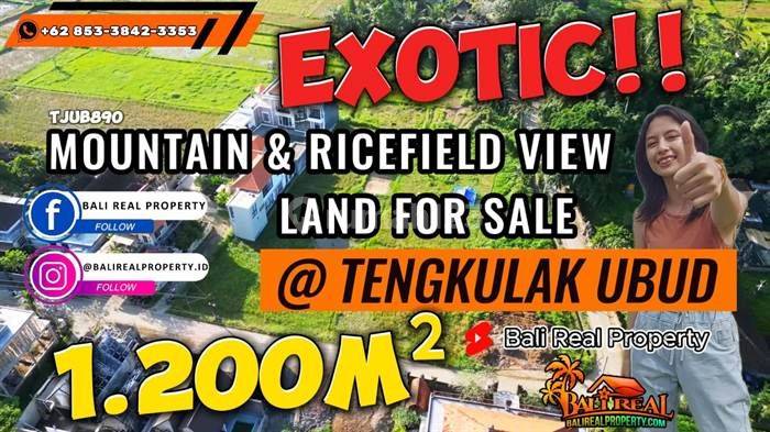 Dijual Tanah Kering Bekas Sawah 12 Are Pinggir Jalan di Sukawati 1