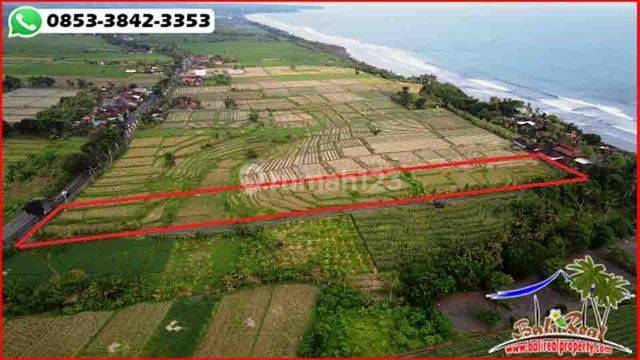 Magnificent Yet Affordable 117 Are Land Sale In Jembrana  2