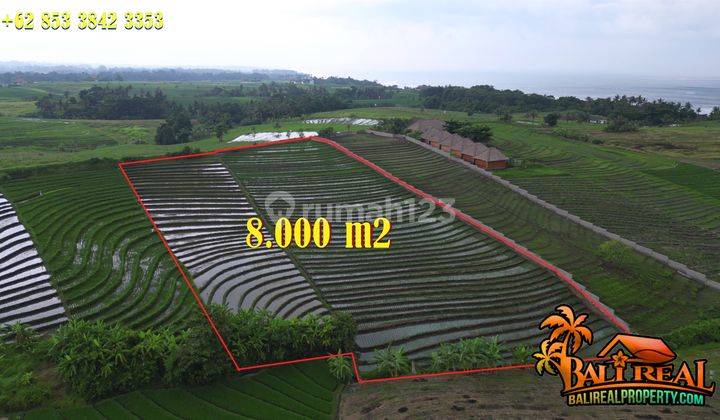 8,000 m2 with Beautiful View in Selemadeg Timur, Tabanan 2