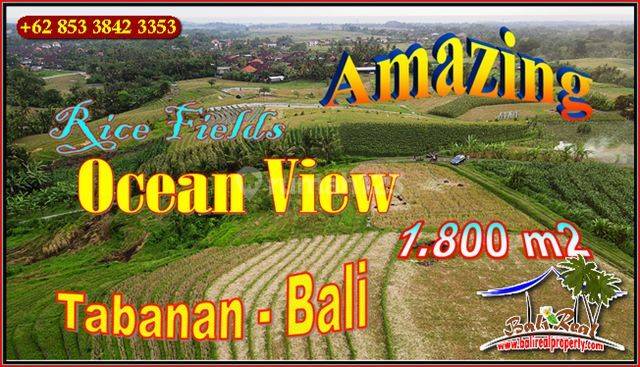 1,800 M2 With Rice Field, Mountain And Ocean View In Kerambitan 1