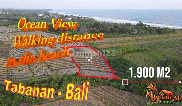 1,900 M2 Close To Yeh Gangga Beach In Sudimara Tabanan 1