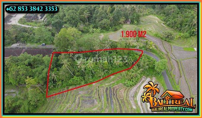 1,900 M2 With Rice Field And Mountain View In Penebel Tabanan 2