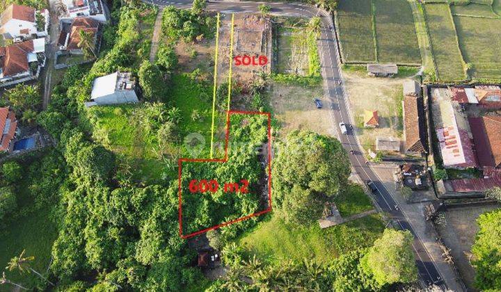 Under Market Price Land Sale 600 Sqm In Sukawati Ubud 2