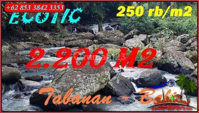 Under Market Price 2,200 Sqm In Selemadeg Timur Tabanan 1