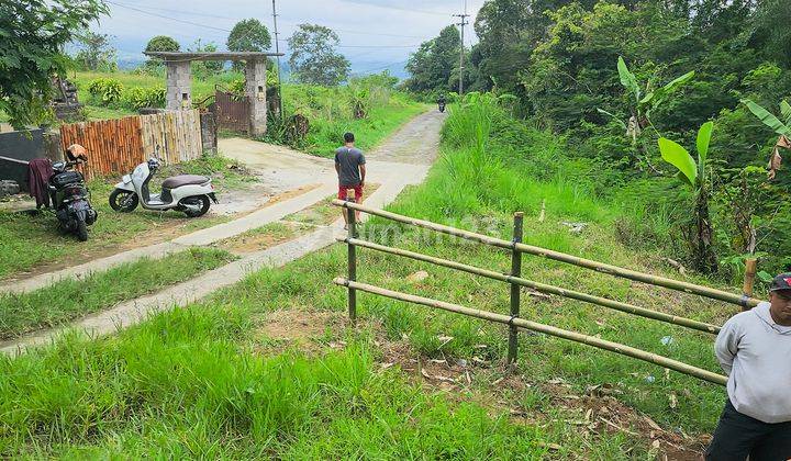 Affordable 40,300 sqm Dry Agriculture Land in Baturiti Tabanan