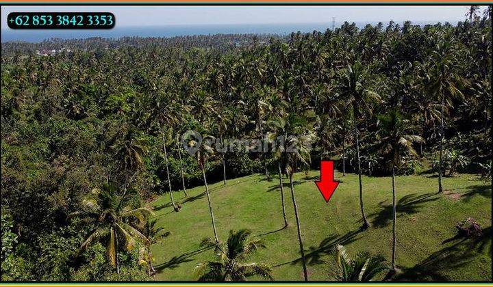 Beautiful Green Lush And Ocean View In Selemadeg Barat, Tabanan 2