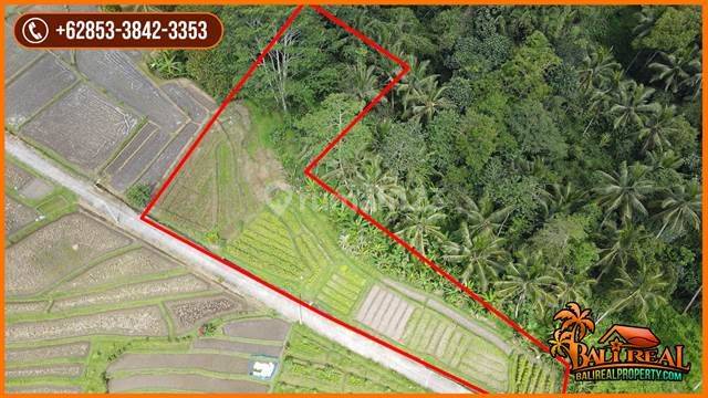 Exotic Yet Affordable Land For Sale 22 Are In Marga Tabanan 2