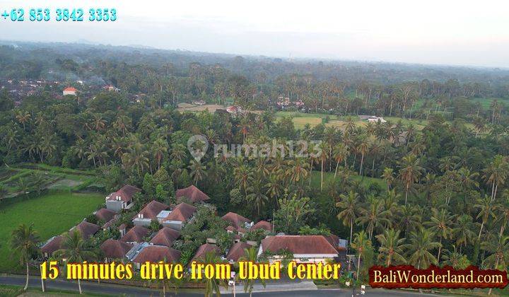 Exotic Yet Affordable Land For Sale 113 Are In Ubud Tegalalang 2