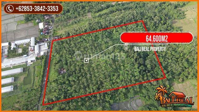 Tanah Kebun Siap Bangun 64.600 m2 Akses Lebar di Jembrana Bali 2