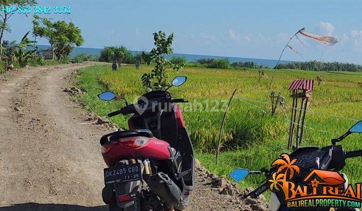 Magnificent Rice Field, Mountain And Ocean View In Kerambitan 2