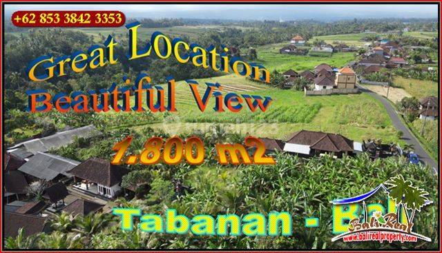 Affordable 1,800 Sqm Land For Sale In Kerambitan Tabanan 1