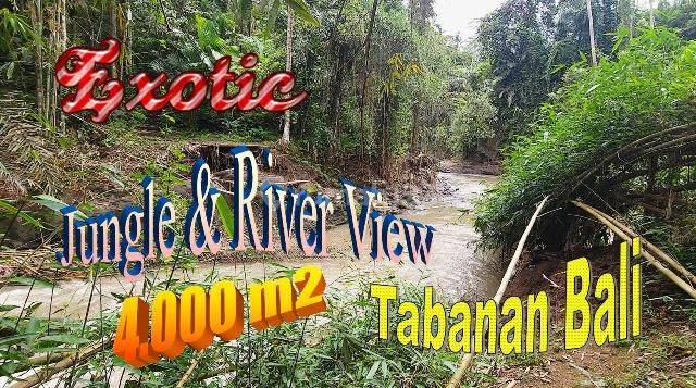 Beautiful Land With Jungle View By The River In Marga Tabanan 1