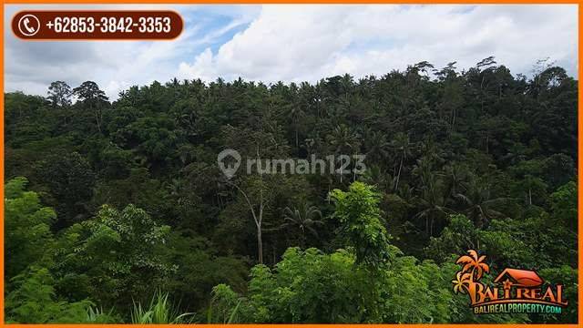 Beautiful Land With Jungle View By The River In Marga Tabanan 2