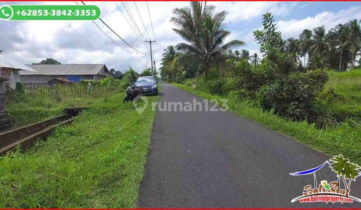 View Sawah Dan Gunung 1,000 M2 Semi Kotak di Penebel 2