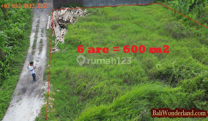 Best Location, Land Sale 650 M2 In Ubud Singapadu 2