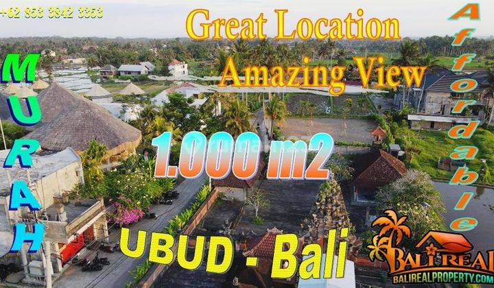 1,000 M2 With Great Location Amazing View In Sukawati Ubud 1