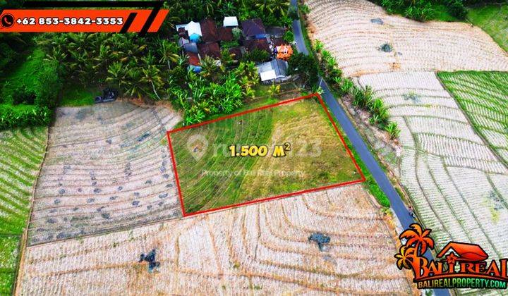 1,500 M2 di Selemadeg Timur Strategis Pinggir Jalan Hotmix 2