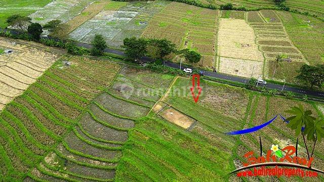 1,000 M2 Tanah Dekat Pantai Seseh Jalan Hotmix 6 Meter 1