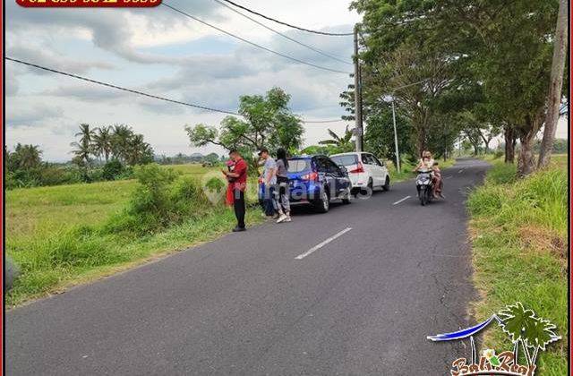 1,000 M2 Tanah Dekat Pantai Seseh Jalan Hotmix 6 Meter 5