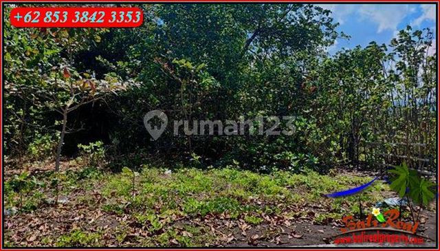 Langka, Murah 18 Are Tepi Pantai, View Gunung, Sawah 4