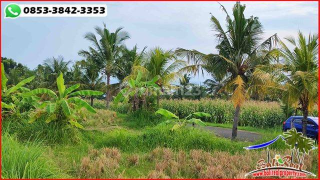 Lokasi Area Rambut Siwi, Dijual Tanah Seluas 11,700 M2 2