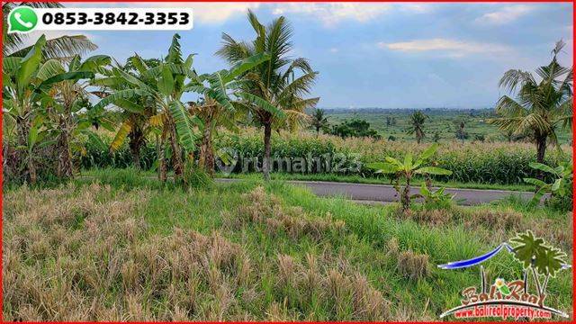 Lokasi Area Rambut Siwi, Dijual Tanah Seluas 11,700 M2 3
