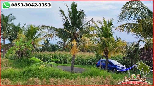 Lokasi Area Rambut Siwi, Dijual Tanah Seluas 11,700 M2 4