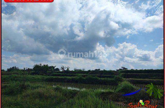 Dijual 3,300 M2 Lahan Persawahan Dominan Datar 4