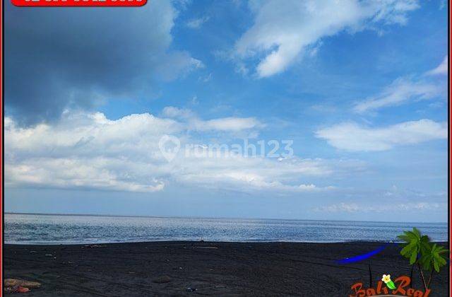 Dijual 3,300 M2 Lahan Persawahan Dominan Datar 5