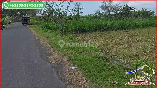 Pinggir Jalan 2,700 M2 Lahan Persawahan Dijual Murah 5